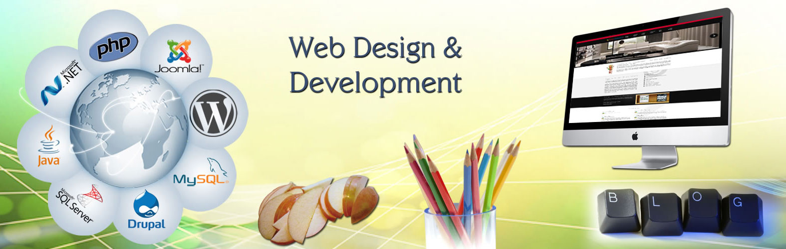 Service-Website-Design-Development